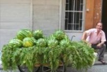 Istanbul Street Food Picnic